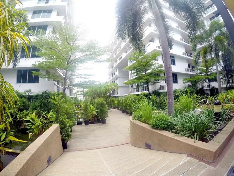 The Waterford Sukhumvit 50 : เดอะ วอเตอร์ฟอร์ด สุขุมวิท 50, กรุงเทพ, 890 ถนนสุขุมวิท 50, พระโขนง, คลองเตย, กรุงเทพ, 46 ตร.ม., คอนโด ให้เช่า, โดย กำพนธ์ อัศวศิริวิลาศ, 500190097 - DDproperty.com