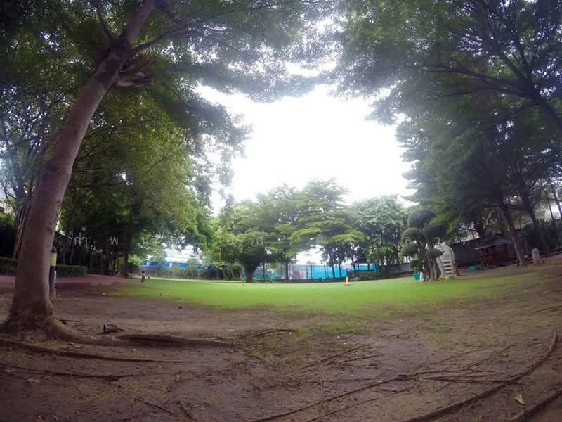 The Waterford Sukhumvit 50 : เดอะ วอเตอร์ฟอร์ด สุขุมวิท 50, กรุงเทพ, 890 ถนนสุขุมวิท 50, พระโขนง, คลองเตย, กรุงเทพ, 46 ตร.ม., คอนโด ให้เช่า, โดย กำพนธ์ อัศวศิริวิลาศ, 500190097 - DDproperty.com