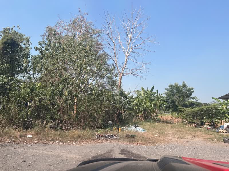 ที่ดินเขตพื้นที่สีม่วง, Pathum Thani, Khlong Song, Khlong Luang, Pathum Thani, , 16,000 sqm, Land For Sale, by ผกาวรรณ สมมุติ, 500190120 - DDproperty.com