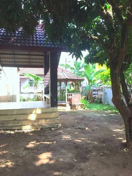 House for sale near Chiang Mai University, Chiang Mai, Su Thep, Muang Chiang Mai, Chiang Mai, 3 Bedrooms, 150 sqm, Single Detached House For Sale, by ณิทษา โฆวาสินธุ์, 500190158 - DDproperty.com