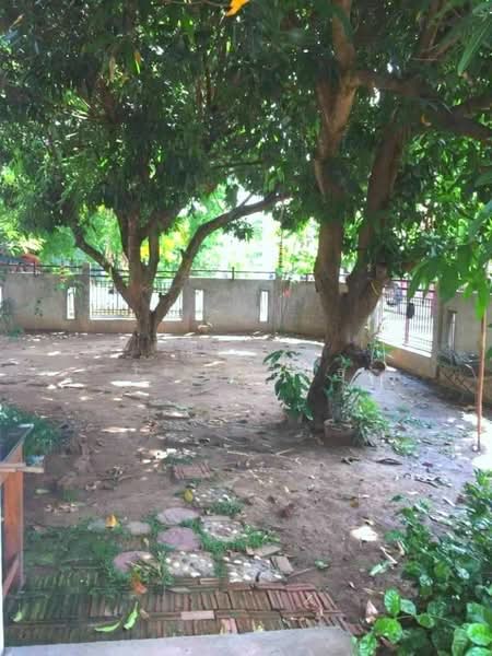 House for sale near Chiang Mai University, Chiang Mai, Su Thep, Muang Chiang Mai, Chiang Mai, 3 Bedrooms, 150 sqm, Single Detached House For Sale, by ณิทษา โฆวาสินธุ์, 500190158 - DDproperty.com