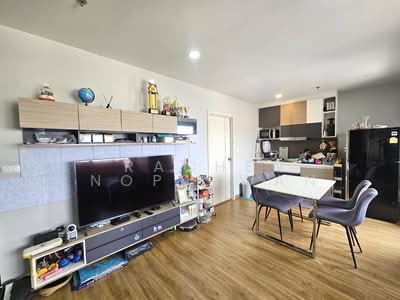 ขาย - Plus Condo Hatyai 30m : พลัส คอนโด หาดใหญ่ 30 เมตร, สงขลา