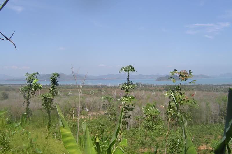 ภูเก็ต, ภูเก็ต, ป่าคลอก, ถลาง, ภูเก็ต, 11,200 ตร.ม., ที่ดิน ขาย, โดย Sittidach Ritkajorn (Jack ), 500190179 - DDproperty.com