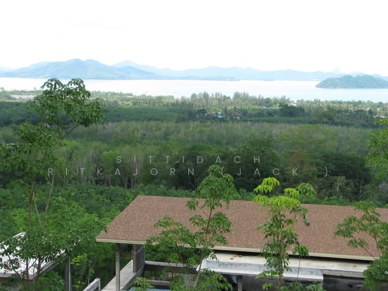 ภูเก็ต, ภูเก็ต, ป่าคลอก, ถลาง, ภูเก็ต, 11,200 ตร.ม., ที่ดิน ขาย, โดย Sittidach Ritkajorn (Jack ), 500190179 - DDproperty.com