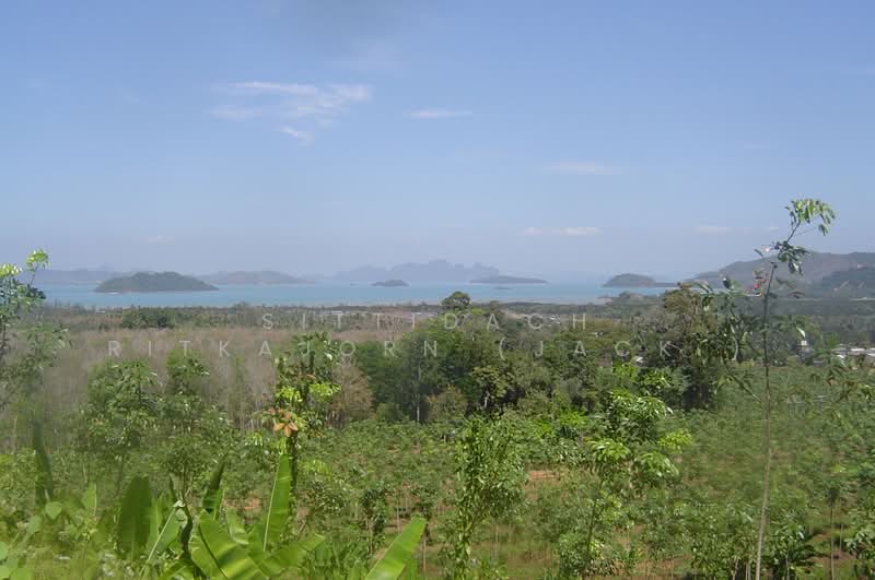 ภูเก็ต, ภูเก็ต, ป่าคลอก, ถลาง, ภูเก็ต, 11,200 ตร.ม., ที่ดิน ขาย, โดย Sittidach Ritkajorn (Jack ), 500190179 - DDproperty.com