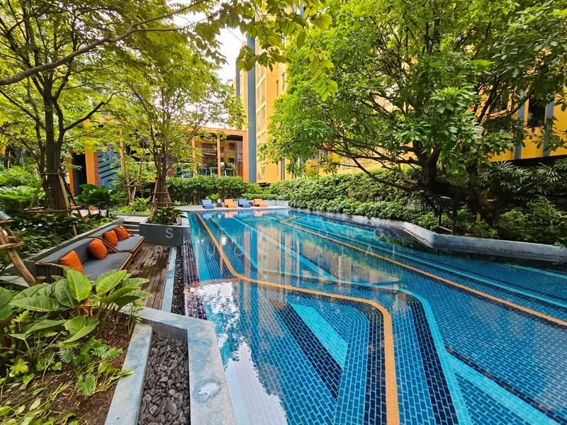 The Base Sukhumvit 50, Bangkok, Soi Roem Charoen 1, Sukhumvit 50 Road, Phra Kanong, Khlong Toei, Bangkok, 1 Bedroom, 32 sqm, Condo For Rent, by Suthipong Prucksalai, 500190196 - DDproperty.com