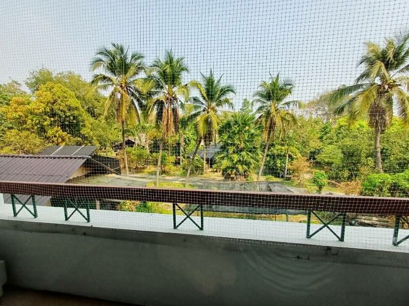 Baan Karnkanok 3, Chiang Mai, Chang Phuak, Muang Chiang Mai, Chiang Mai, Studio, 50 sqm, Condo For Rent, by วุฒิภัทร มิ่งคำ, 500190252 - DDproperty.com