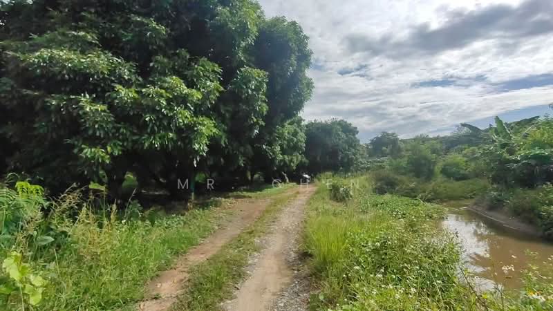 ไม่พบโครงการ, Chiang Mai, -, Chai Sa Than, Saraphi, Chiang Mai, , 5,456 sqm, Land For Sale, by Panuwat Jinanan, 500190259 - DDproperty.com