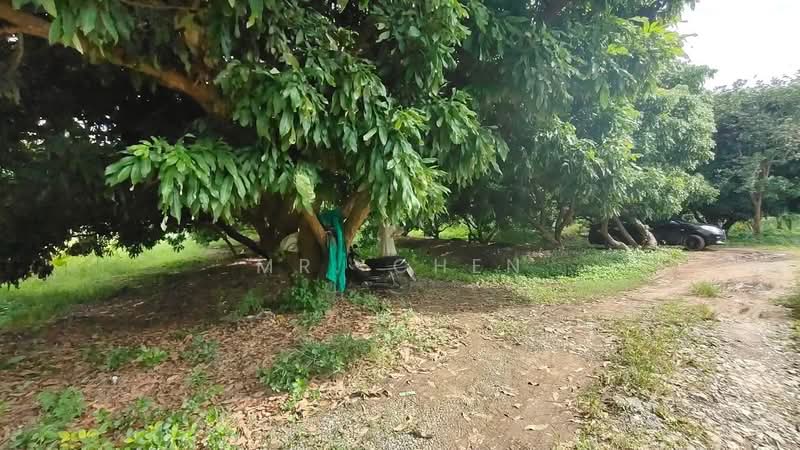 ไม่พบโครงการ, Chiang Mai, -, Chai Sa Than, Saraphi, Chiang Mai, , 5,456 sqm, Land For Sale, by Panuwat Jinanan, 500190259 - DDproperty.com