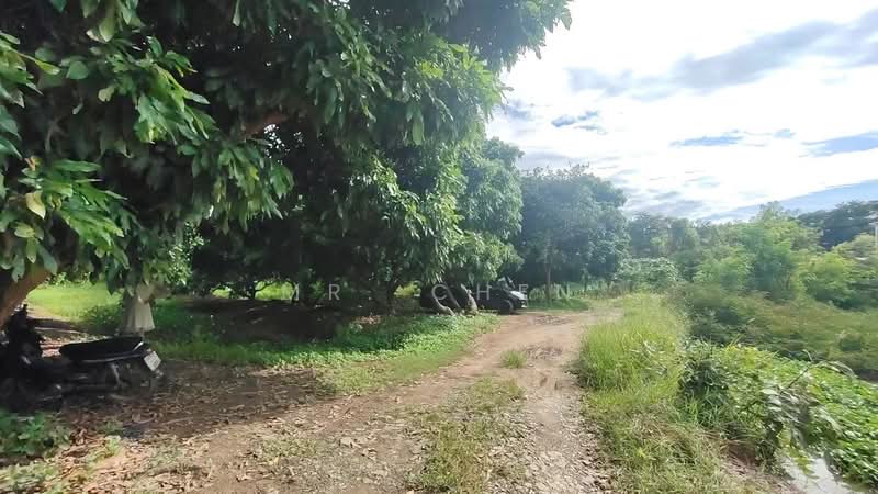 ไม่พบโครงการ, Chiang Mai, -, Chai Sa Than, Saraphi, Chiang Mai, , 5,456 sqm, Land For Sale, by Panuwat Jinanan, 500190259 - DDproperty.com