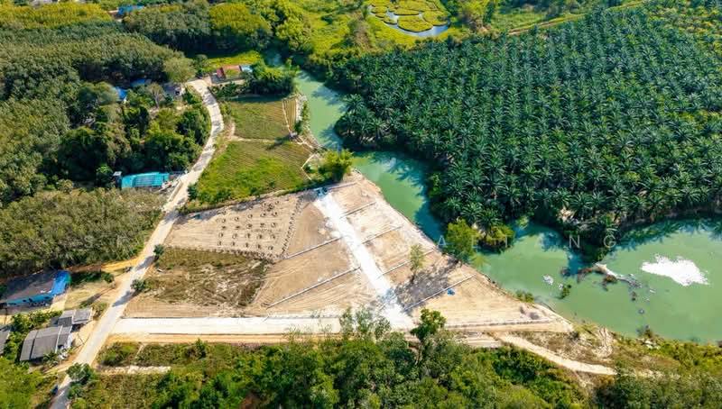 ขาย - แบ่งขายที่ดินถมแล้ว (มีปลายแปลง) ซอยสะเดาหวาน ตำบลละหาร อำเภอปลวกแดง ระยอง, ระยอง