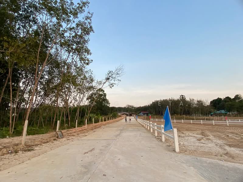 ขาย - แบ่งขายที่ดินถมแล้ว (มีปลายแปลง) ซอยสะเดาหวาน ตำบลละหาร อำเภอปลวกแดง ระยอง, ระยอง