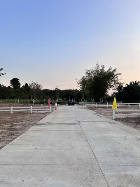 ขาย - แบ่งขายที่ดินถมแล้ว (มีปลายแปลง) ซอยสะเดาหวาน ตำบลละหาร อำเภอปลวกแดง ระยอง, ระยอง