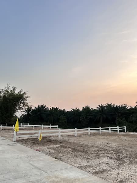 ขาย - แบ่งขายที่ดินถมแล้ว (มีปลายแปลง) ซอยสะเดาหวาน ตำบลละหาร อำเภอปลวกแดง ระยอง, ระยอง