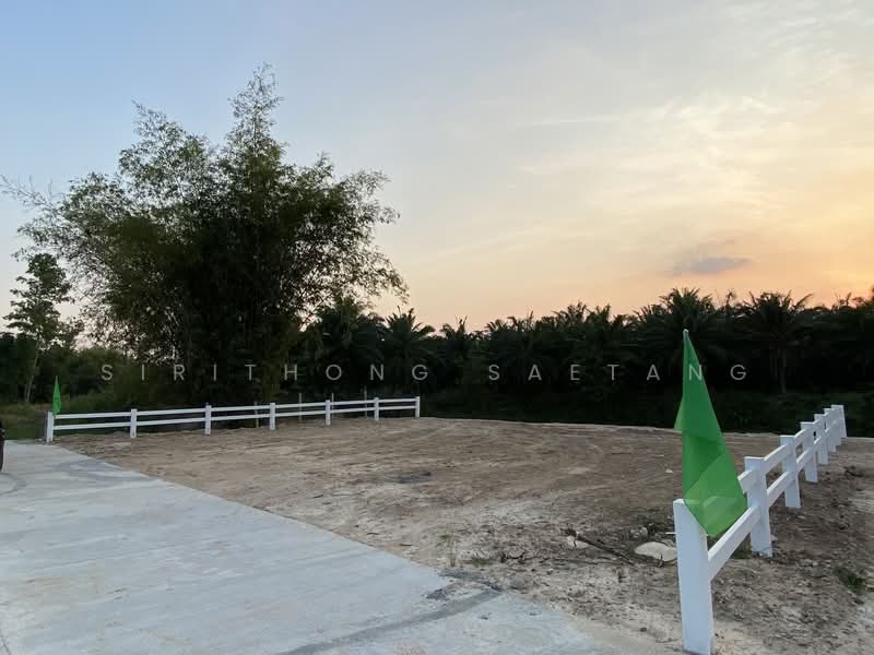 ขาย - แบ่งขายที่ดินถมแล้ว (มีปลายแปลง) ซอยสะเดาหวาน ตำบลละหาร อำเภอปลวกแดง ระยอง, ระยอง