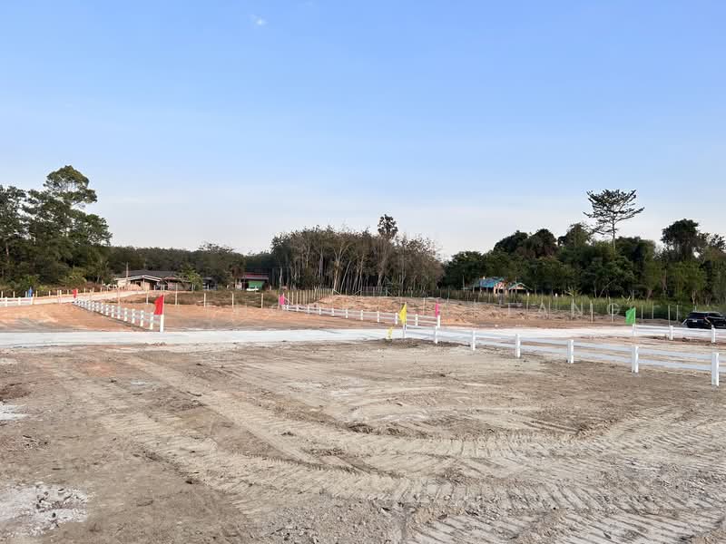 ขาย - แบ่งขายที่ดินถมแล้ว (มีปลายแปลง) ซอยสะเดาหวาน ตำบลละหาร อำเภอปลวกแดง ระยอง, ระยอง