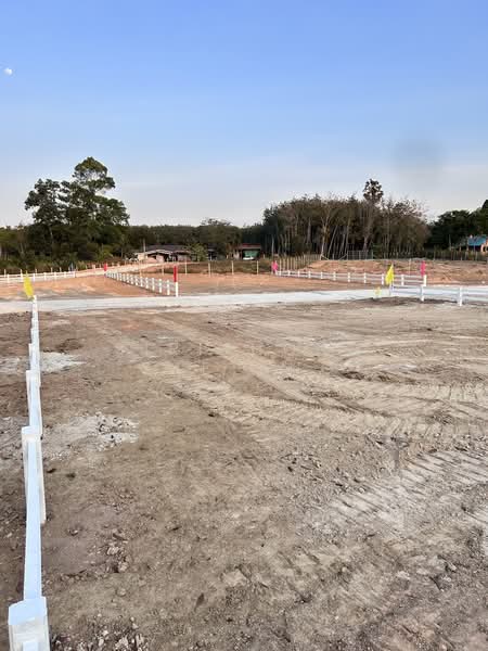 ขาย - แบ่งขายที่ดินถมแล้ว (มีปลายแปลง) ซอยสะเดาหวาน ตำบลละหาร อำเภอปลวกแดง ระยอง, ระยอง