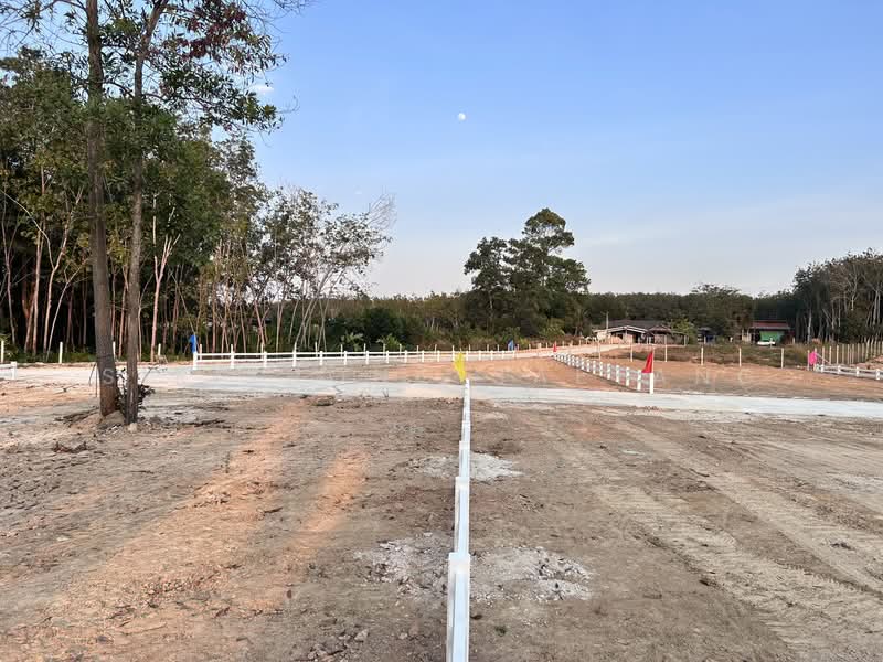 ขาย - แบ่งขายที่ดินถมแล้ว (มีปลายแปลง) ซอยสะเดาหวาน ตำบลละหาร อำเภอปลวกแดง ระยอง, ระยอง