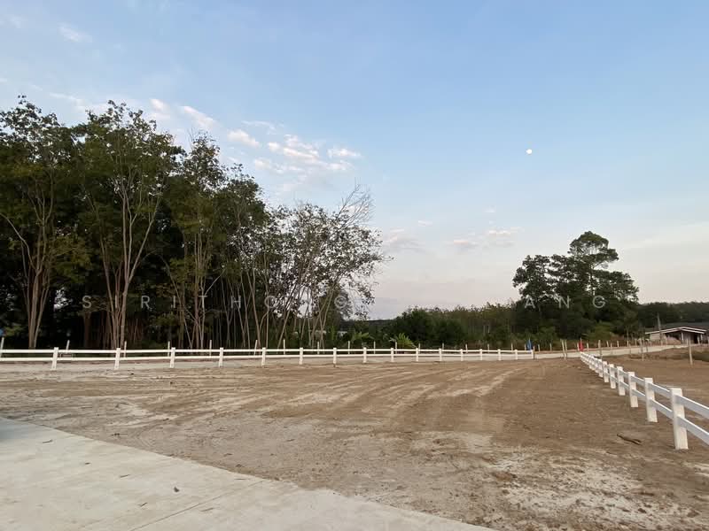 ขาย - แบ่งขายที่ดินถมแล้ว (มีปลายแปลง) ซอยสะเดาหวาน ตำบลละหาร อำเภอปลวกแดง ระยอง, ระยอง