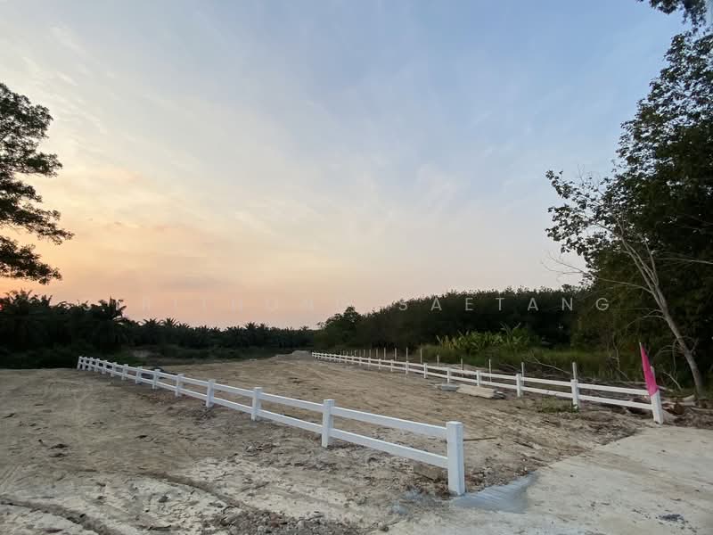 ขาย - แบ่งขายที่ดินถมแล้ว (มีปลายแปลง) ซอยสะเดาหวาน ตำบลละหาร อำเภอปลวกแดง ระยอง, ระยอง