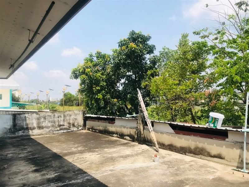 ที่ดิน แถมบ้าน 115 ตร.ว. ที่ดินแถมบ้าน ปากซอยลาดกระบัง14/1 (ซอยราชา1), สมุทรปราการ, ราชาเทวะ, บางพลี, สมุทรปราการ, 460 ตร.ม., ที่ดิน ขาย, โดย คุณ ณรฎา หมวดหรี่ (จิ๊บ), 500190292 - DDproperty.com