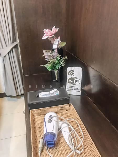 The Pool Villa Thalang, Phuket, Sri Sunthon, Thalang, Phuket, 3 Bedrooms, 320 sqm, Villa For Rent, by Prime Rosie, 500190332 - DDproperty.com