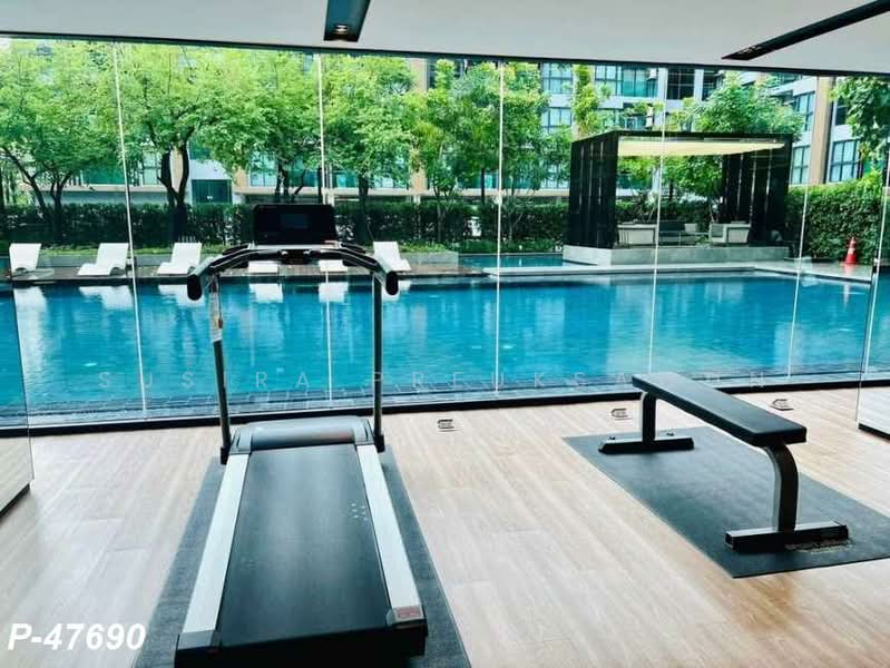 The Excel Hideaway Sukhumvit 50, Bangkok, 1112 Roem Charoen Alley, Phra Kanong, Khlong Toei, Bangkok, 1 Bedroom, 30 sqm, Condo For Rent, by Susira Preuksawun, 500190344 - DDproperty.com