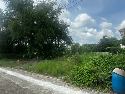 ขาย - ที่ดินเปล่า 80 ตร.ว. ที่ดิน หมู่บ้านชลลดา บางบัวทอง, นนทบุรี