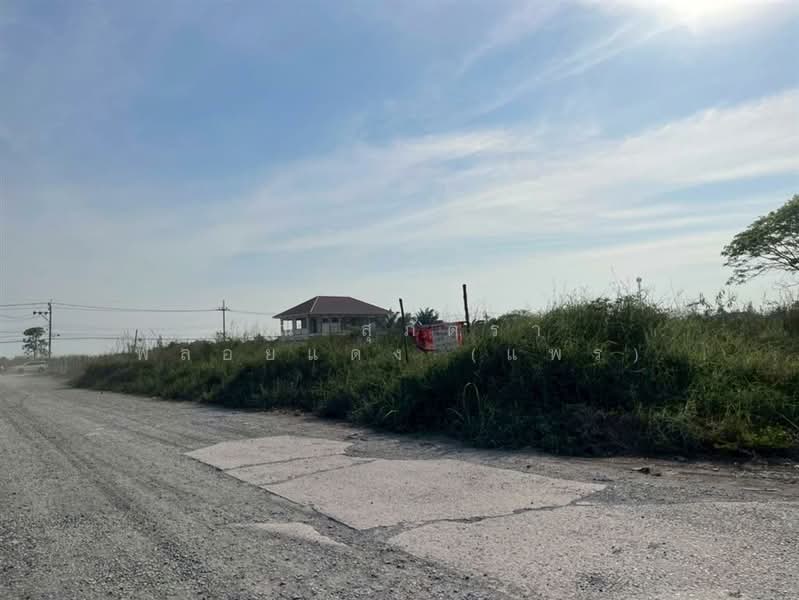 ที่ดินเปล่า 373 ตร.ว. หมู่บ้านเค.ซี.การ์เด้นโฮม นิมิตใหม่40 ซอยนิมิตใหม่40, Bangkok, Sam Wa Tawan Ok, Khlong Sam Wa, Bangkok, , 1,492 sqm, Land For Sale, by คุณ สุภัตรา พลอยแดง (แพร), 500190405 - DDproperty.com