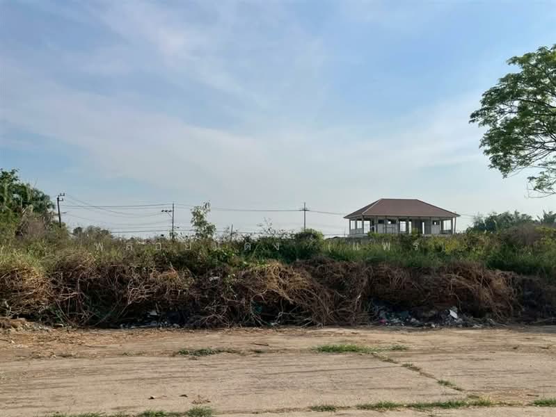 ที่ดินเปล่า 373 ตร.ว. หมู่บ้านเค.ซี.การ์เด้นโฮม นิมิตใหม่40 ซอยนิมิตใหม่40, กรุงเทพ, สามวาตะวันออก, คลองสามวา, กรุงเทพ, 1,492 ตร.ม., ที่ดิน ขาย, โดย คุณ สุภัตรา พลอยแดง (แพร), 500190405 - DDproperty.com