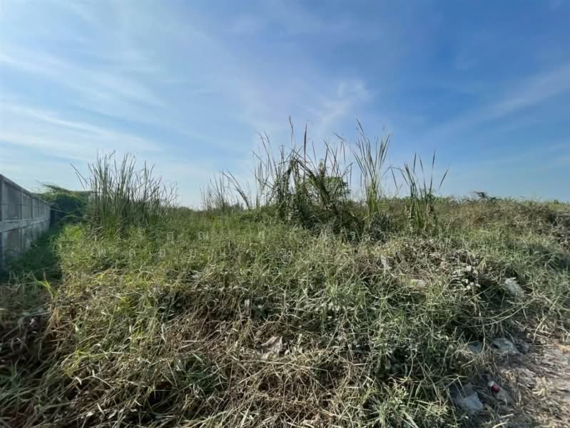 ที่ดินเปล่า 373 ตร.ว. หมู่บ้านเค.ซี.การ์เด้นโฮม นิมิตใหม่40 ซอยนิมิตใหม่40, Bangkok, Sam Wa Tawan Ok, Khlong Sam Wa, Bangkok, , 1,492 sqm, Land For Sale, by คุณ สุภัตรา พลอยแดง (แพร), 500190405 - DDproperty.com