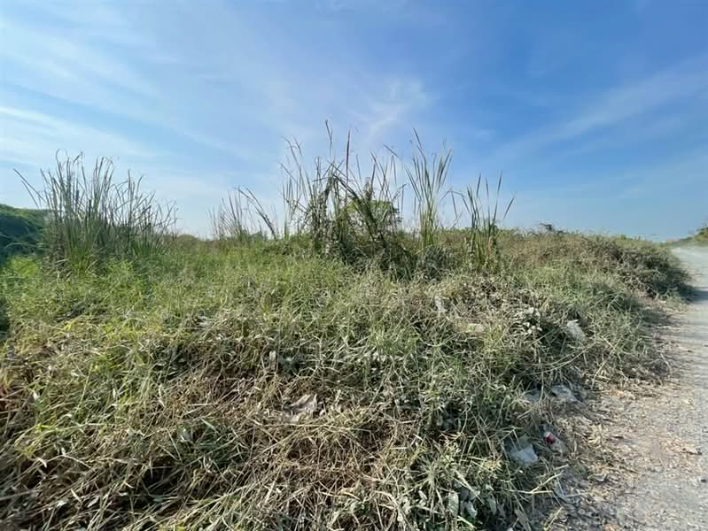 ที่ดินเปล่า 373 ตร.ว. หมู่บ้านเค.ซี.การ์เด้นโฮม นิมิตใหม่40 ซอยนิมิตใหม่40, กรุงเทพ, สามวาตะวันออก, คลองสามวา, กรุงเทพ, 1,492 ตร.ม., ที่ดิน ขาย, โดย คุณ สุภัตรา พลอยแดง (แพร), 500190405 - DDproperty.com