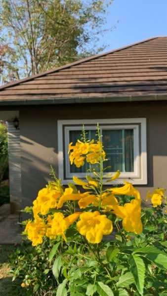 Royal Thai Army Welfare Housing, Chiang Mai, Don Kaeo, Mae Rim, Chiang Mai, 3 Bedrooms, 200 sqm, Single Detached House For Rent, by คุณ แหม่ม, 500190417 - DDproperty.com