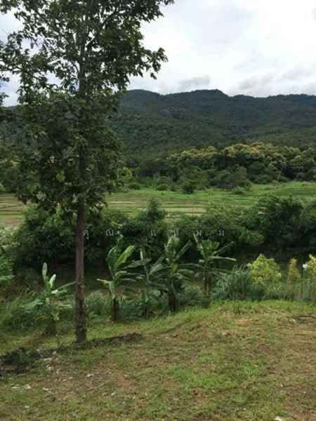 Royal Thai Army Welfare Housing, Chiang Mai, Don Kaeo, Mae Rim, Chiang Mai, 3 Bedrooms, 200 sqm, Single Detached House For Rent, by คุณ แหม่ม, 500190417 - DDproperty.com