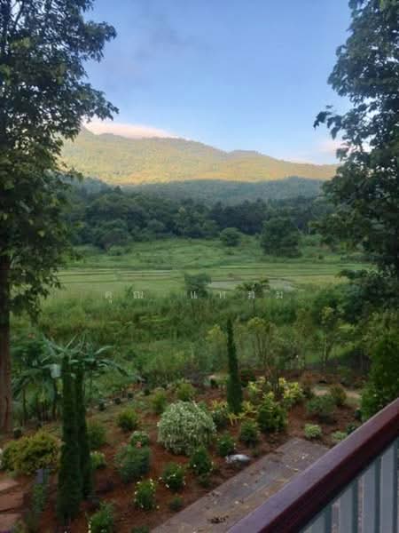 Royal Thai Army Welfare Housing : บ้านสวัสดิการกองทัพบก, เชียงใหม่, ดอนแก้ว, แม่ริม, เชียงใหม่, 200 ตร.ม., บ้านเดี่ยว ให้เช่า, โดย คุณ แหม่ม, 500190417 - DDproperty.com