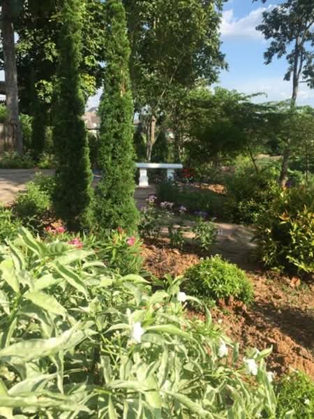 Royal Thai Army Welfare Housing, Chiang Mai, Don Kaeo, Mae Rim, Chiang Mai, 3 Bedrooms, 200 sqm, Single Detached House For Rent, by คุณ แหม่ม, 500190417 - DDproperty.com