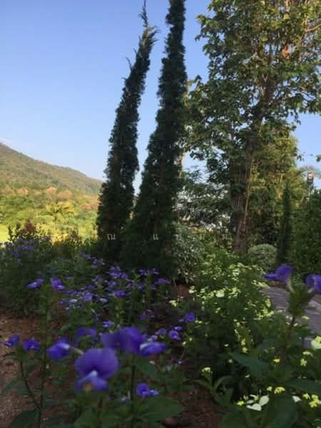 Royal Thai Army Welfare Housing, Chiang Mai, Don Kaeo, Mae Rim, Chiang Mai, 3 Bedrooms, 200 sqm, Single Detached House For Rent, by คุณ แหม่ม, 500190417 - DDproperty.com