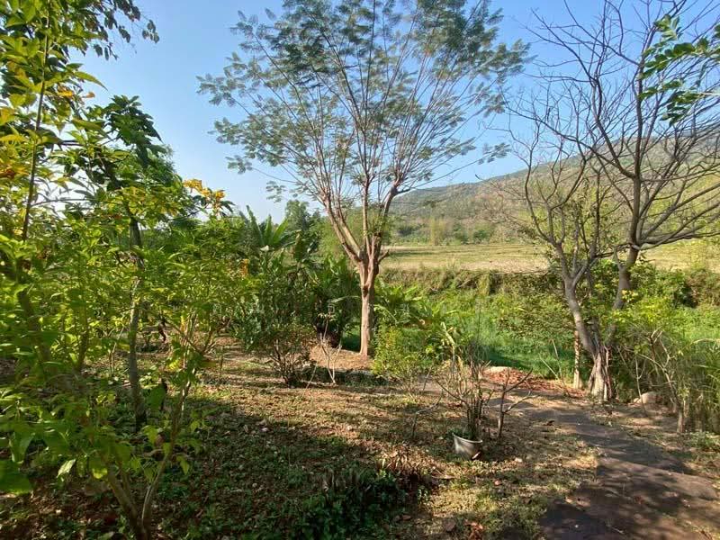 Royal Thai Army Welfare Housing : บ้านสวัสดิการกองทัพบก, เชียงใหม่, ดอนแก้ว, แม่ริม, เชียงใหม่, 200 ตร.ม., บ้านเดี่ยว ให้เช่า, โดย คุณ ธีรชาติ, 500190417 - DDproperty.com