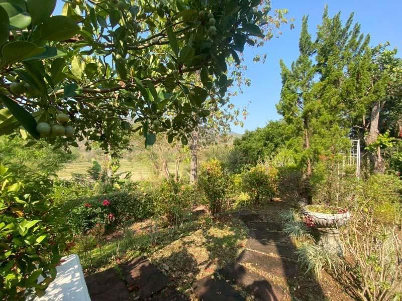 Royal Thai Army Welfare Housing, Chiang Mai, Don Kaeo, Mae Rim, Chiang Mai, 3 Bedrooms, 200 sqm, Single Detached House For Rent, by คุณ ธีรชาติ, 500190417 - DDproperty.com