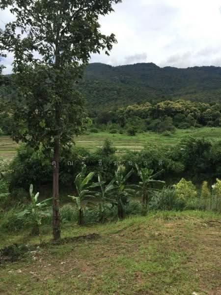 Royal Thai Army Welfare Housing, Chiang Mai, Don Kaeo, Mae Rim, Chiang Mai, 3 Bedrooms, 200 sqm, Single Detached House For Rent, by คุณ ธีรชาติ, 500190417 - DDproperty.com