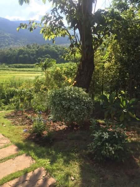 Royal Thai Army Welfare Housing : บ้านสวัสดิการกองทัพบก, เชียงใหม่, ดอนแก้ว, แม่ริม, เชียงใหม่, 200 ตร.ม., บ้านเดี่ยว ให้เช่า, โดย คุณ ธีรชาติ, 500190417 - DDproperty.com