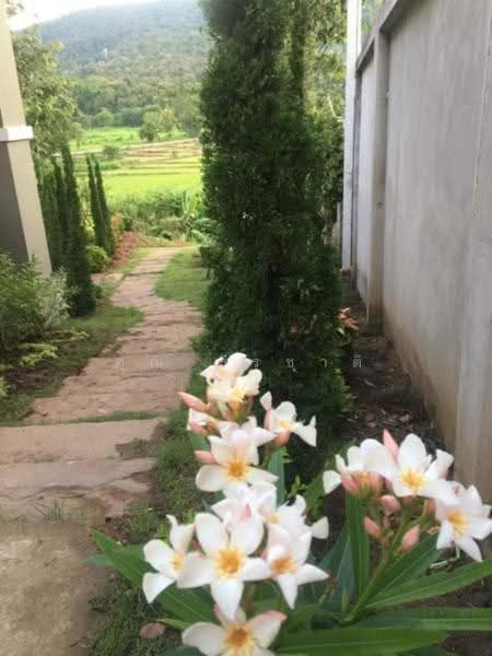 Royal Thai Army Welfare Housing, Chiang Mai, Don Kaeo, Mae Rim, Chiang Mai, 3 Bedrooms, 200 sqm, Single Detached House For Rent, by คุณ ธีรชาติ, 500190417 - DDproperty.com