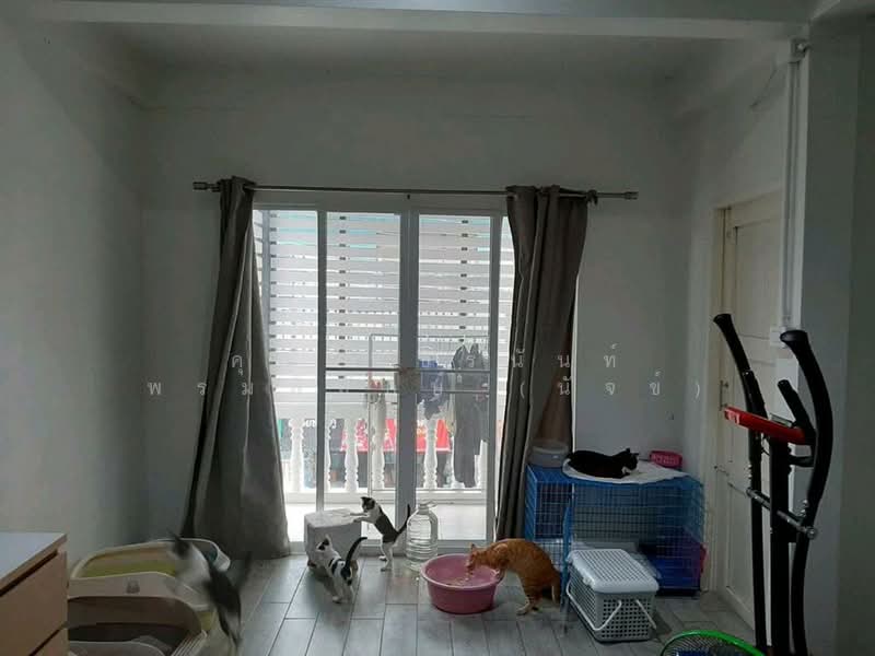 ทาวน์เฮ้าส์ 3 ชั้น 17 ตร.ว. ทาวน์เฮ้าส์ ซอยแจ้งวัฒนะ4 แยก7 ถนนแจ้งวัฒนะ, Bangkok, ถนนแจ้งวัฒนะ, Anusaowari, Bang Khen, Bangkok, 2 Bedrooms, 100 sqm, Townhouse For Sale, by คุณ พัชรนันท์ พรมพิทักษ์ (นัจข์), 500190436 - DDproperty.com