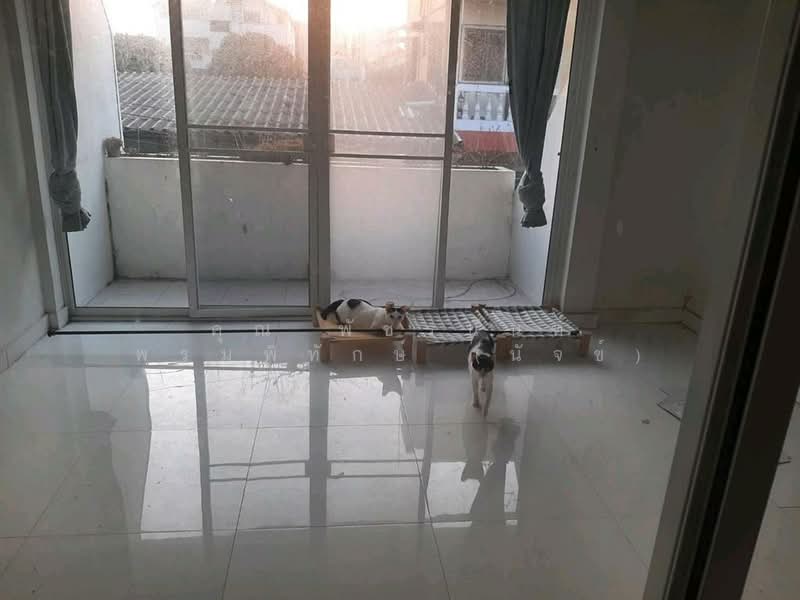 ทาวน์เฮ้าส์ 3 ชั้น 17 ตร.ว. ทาวน์เฮ้าส์ ซอยแจ้งวัฒนะ4 แยก7 ถนนแจ้งวัฒนะ, กรุงเทพ, ถนนแจ้งวัฒนะ, อนุสาวรีย์, บางเขน, กรุงเทพ, 100 ตร.ม., ทาวน์เฮ้าส์ ขาย, โดย คุณ พัชรนันท์ พรมพิทักษ์ (นัจข์), 500190436 - DDproperty.com