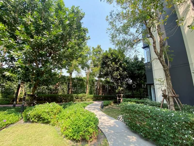 Aspire Sukhumvit-On Nut : แอสปาย สุขุมวิท-อ่อนนุช, กรุงเทพ, ซอยอ่อนนุช 21 ถนนสุขุมวิท 77, สวนหลวง, สวนหลวง, กรุงเทพ, 50 ตร.ม., คอนโด ให้เช่า, โดย Tanapat Jitwatcharakomol, 500190489 - DDproperty.com