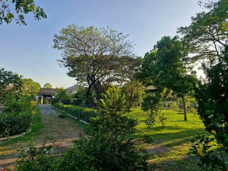 ที่ดินเปล่า 275.6 ตร.ว. ที่ดิน ซอยอยู่วังแก้ว ที่ดินใกล้วัดสะพานสูง ปากเกร็ด นนทบุรี, Nonthaburi, Khlong Khoi, Pak Kret, Nonthaburi, , 1,100 sqm, Land For Sale, by คุณ วันประภา จุสมใจ (กุ้ง), 500190676 - DDproperty.com