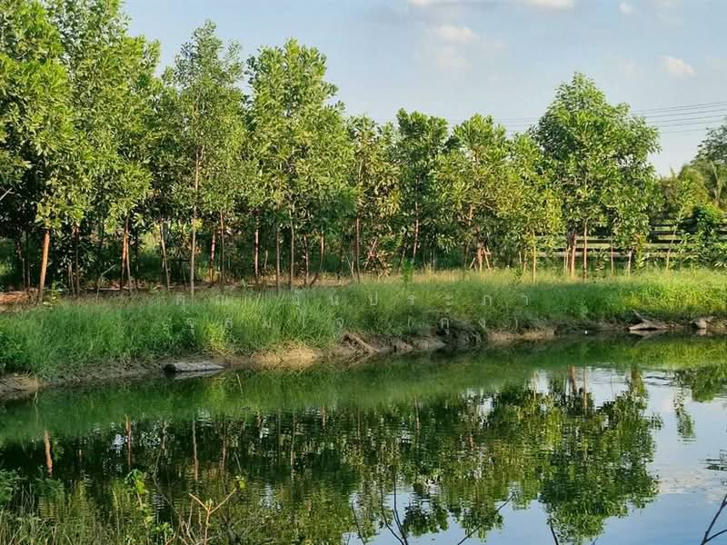 ที่ดินเปล่า 275.6 ตร.ว. ที่ดิน ซอยอยู่วังแก้ว ที่ดินใกล้วัดสะพานสูง ปากเกร็ด นนทบุรี, Nonthaburi, Khlong Khoi, Pak Kret, Nonthaburi, , 1,100 sqm, Land For Sale, by คุณ วันประภา จุสมใจ (กุ้ง), 500190676 - DDproperty.com