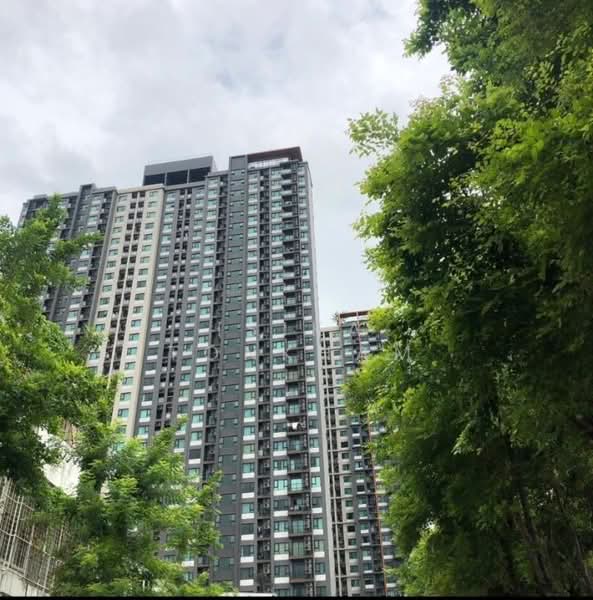 Life Asoke, Bangkok, Asoke-Dindang Road, Bang Kapi, Huai Khwang, Bangkok, 2 Bedrooms, 54 sqm, Condo For Rent, by Isika Tonkham, 500190746 - DDproperty.com