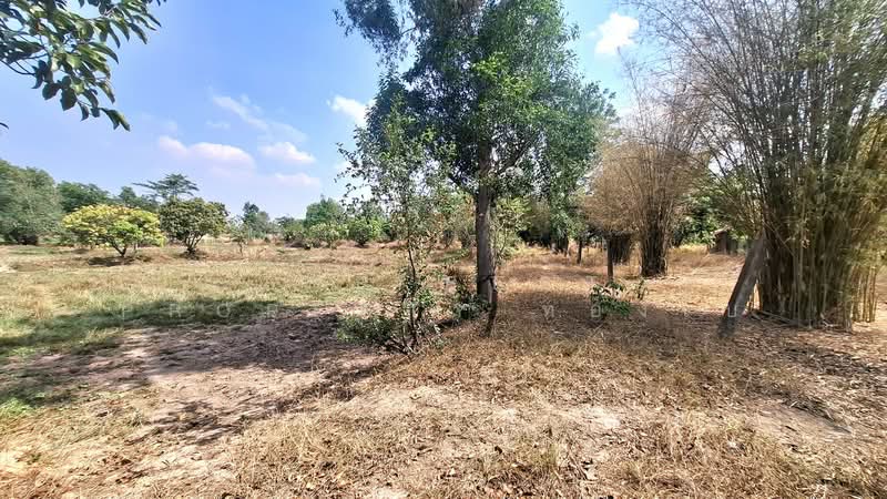 ขาย - ที่ดินวาปีปทุม มหาสารคาม, มหาสารคาม