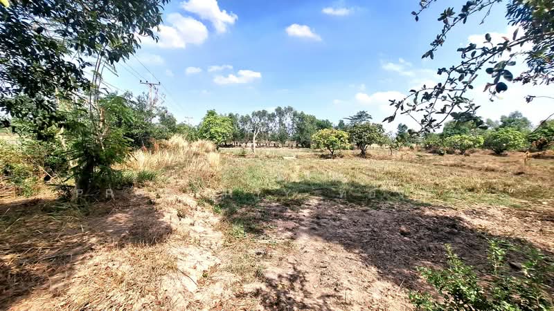 ขาย - ที่ดินวาปีปทุม มหาสารคาม, มหาสารคาม